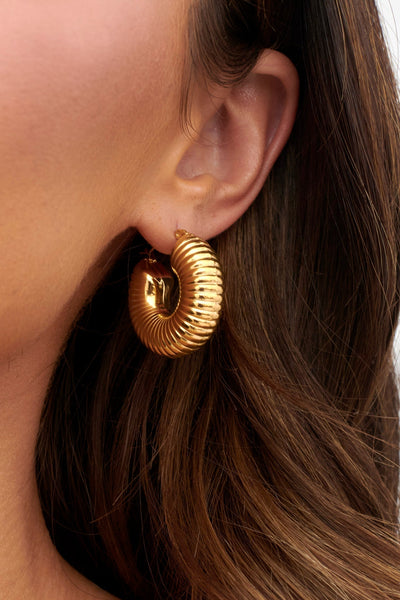 Gold Tammi Hoop Earrings with Thick Ridges