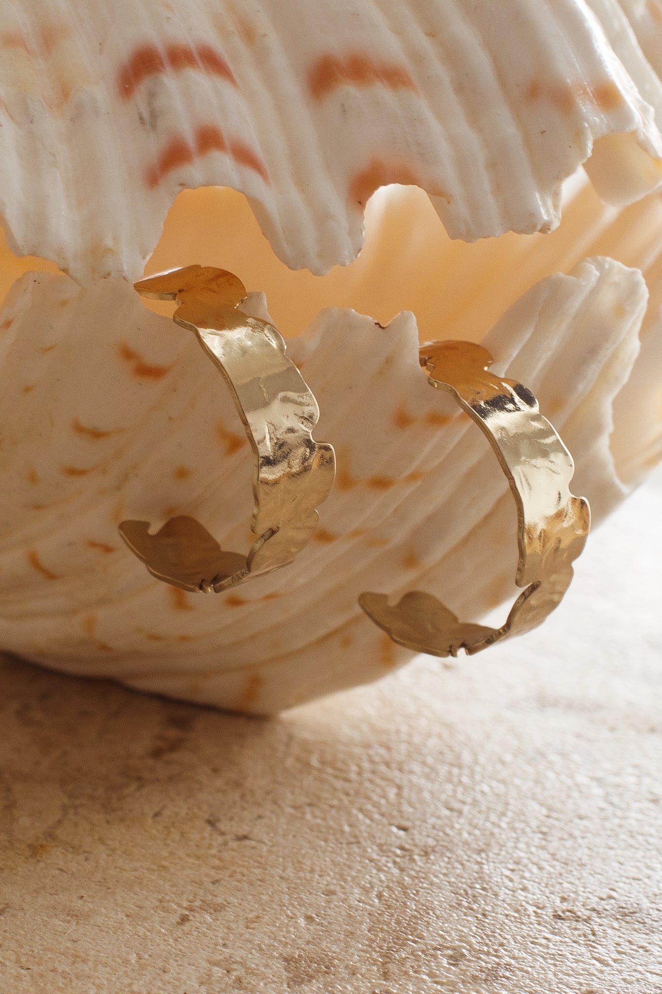 Gold Textured Hoop Earrings Shari
