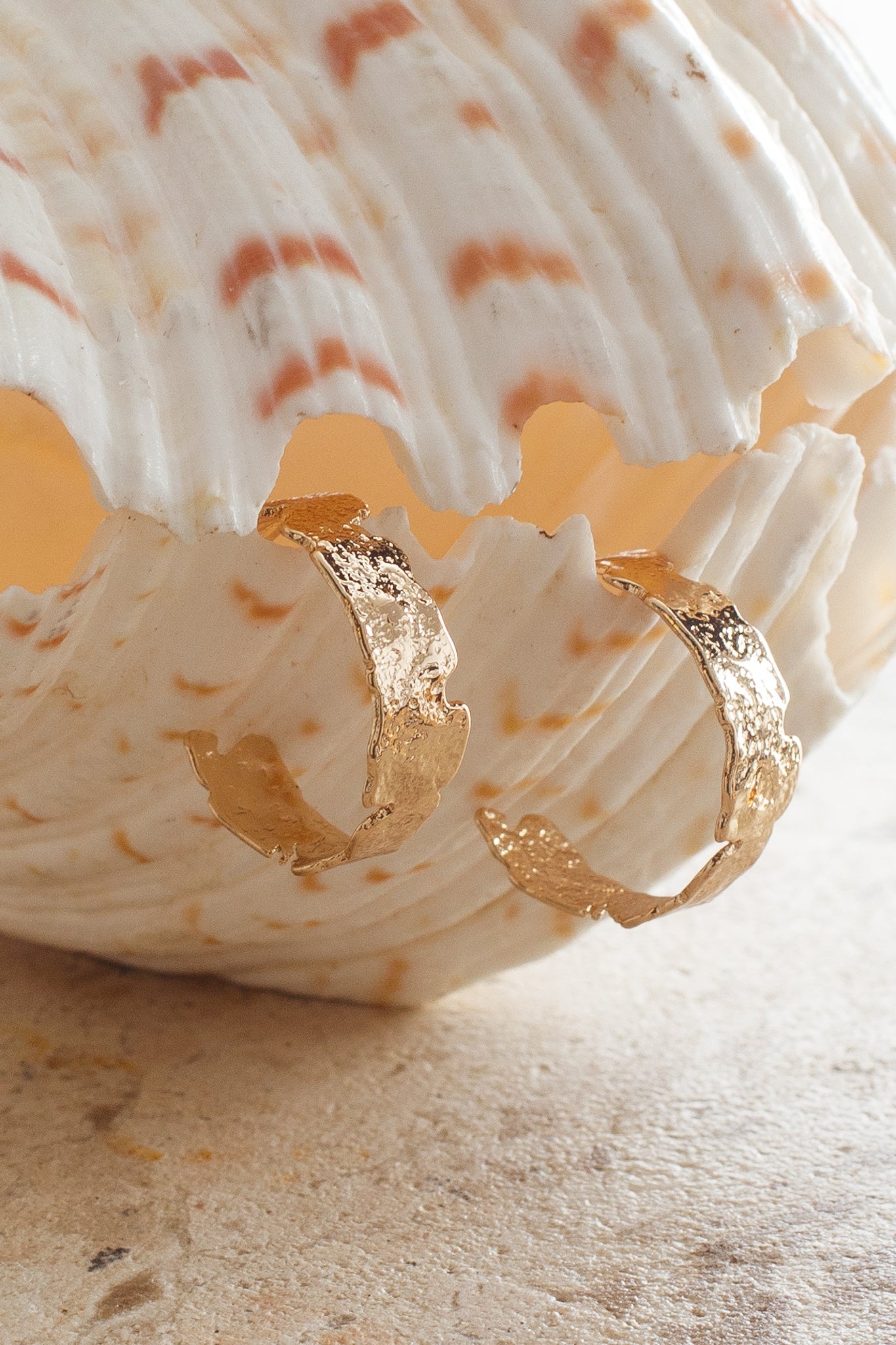 Textured Hoop Earrings Sarissa in Gold